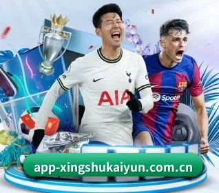 kaiyun APP 界面