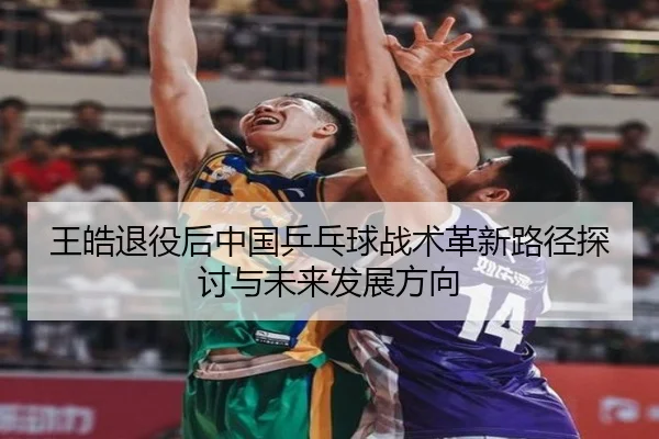 王皓退役后中国乒乓球战术革新路径探讨与未来发展方向